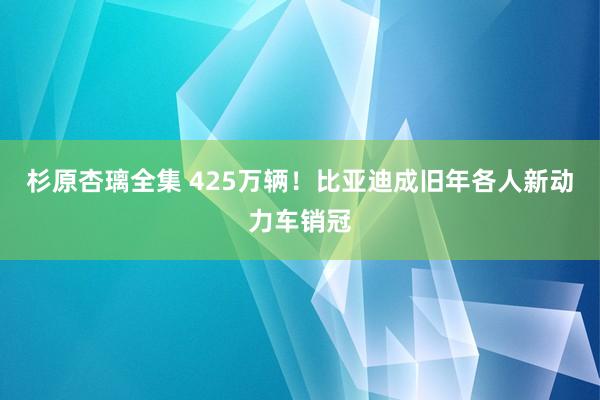 杉原杏璃全集 425万辆！比亚迪成旧年各人新动力车销冠